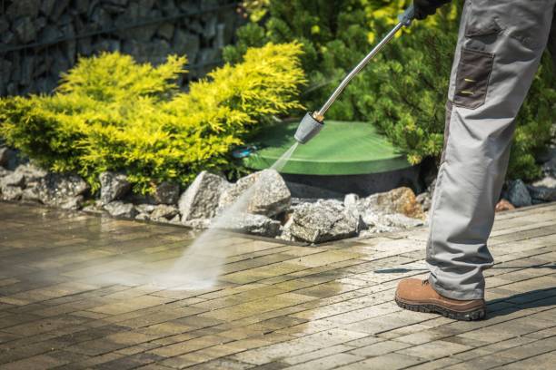Best Solar Panel Cleaning  in Hutchinson Island South, FL